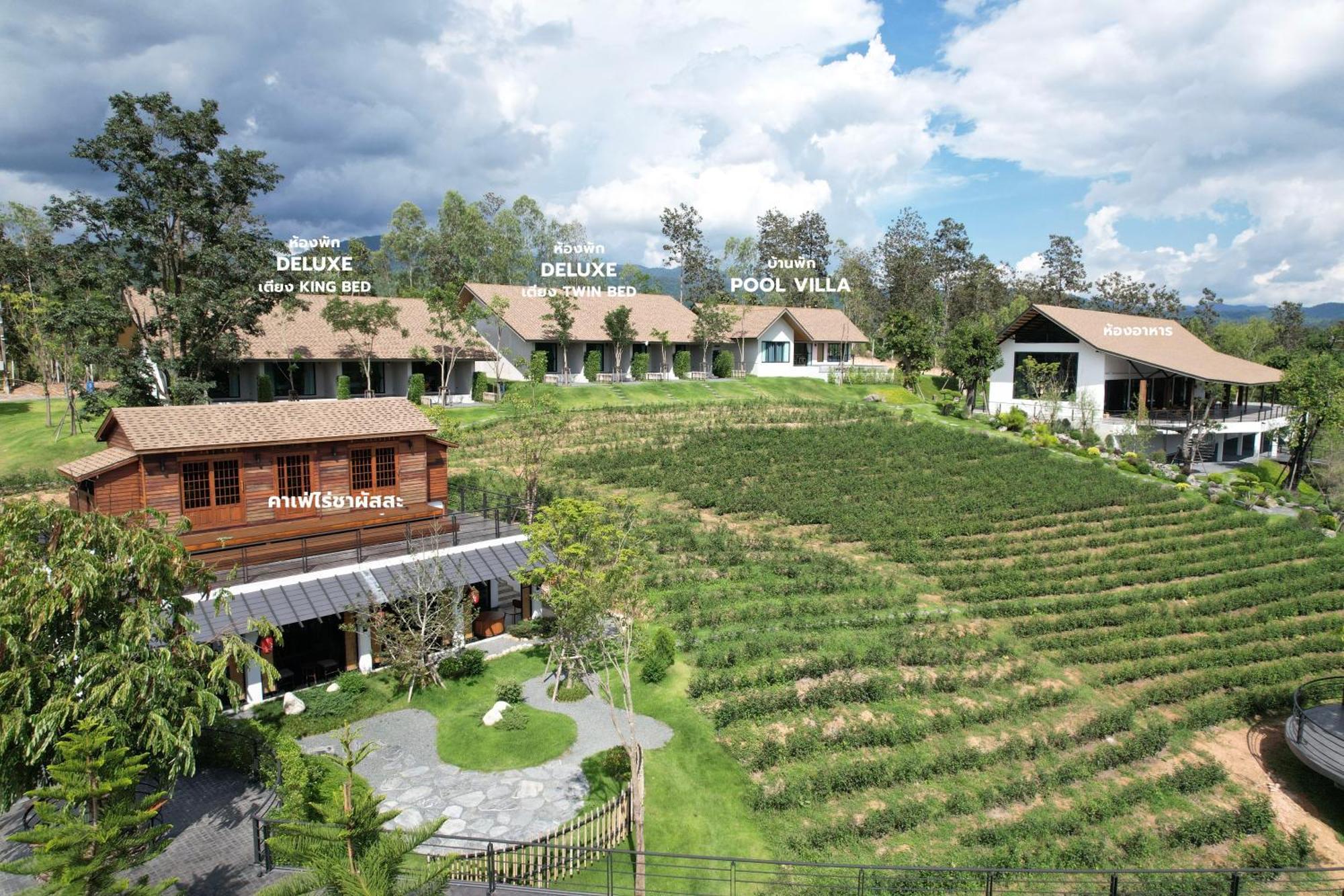 Hotel Passa ผัสสะ Tea Plantation @Mae On Ban Huai Kaeo Exterior foto